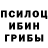 Псилоцибиновые грибы мухоморы Sergii Hale