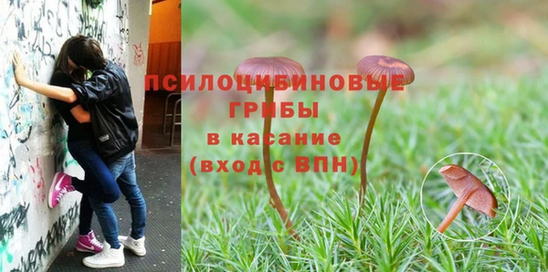марки lsd Алзамай