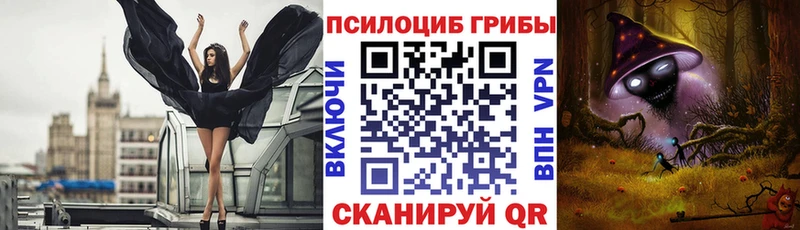 где можно купить наркотик  Кингисепп  Псилоцибиновые грибы Magic Shrooms 