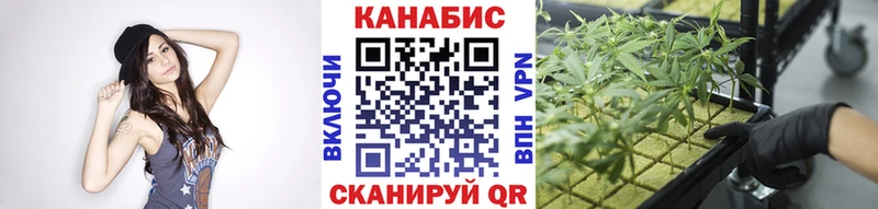 МАРИХУАНА план Кингисепп